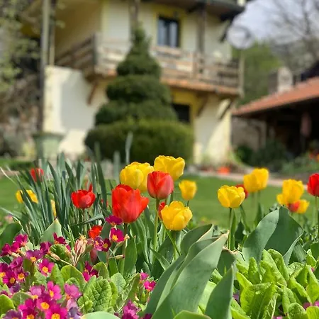 Bed & Breakfast Djordjevic - Priroda Vas Okruzuje *